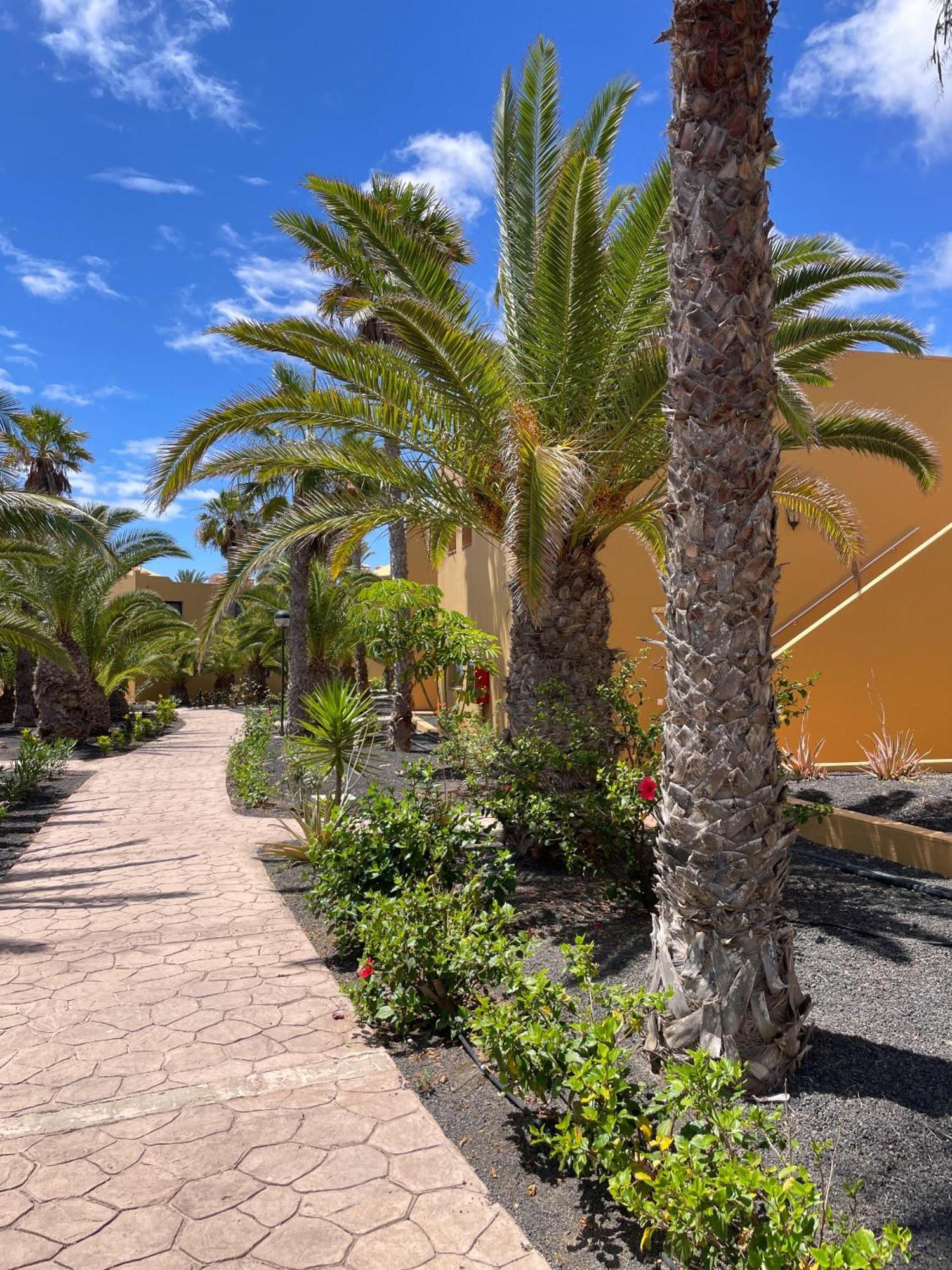 Apartament B-Rent Casa Angela Pool View Corralejo Zewnętrze zdjęcie